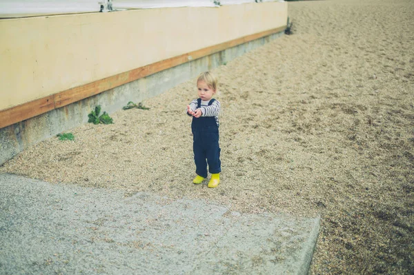 Little Toddler Standing Beach Autumn — Stock Photo, Image