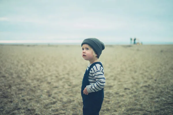 Little Toddler Standing Beach Autumn — Stock Photo, Image