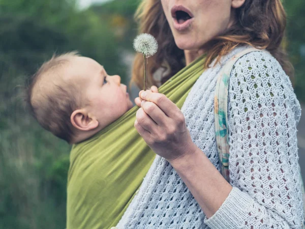 Young Mother Baby Sling Blowing Seeds Dandelion — Stock Photo, Image