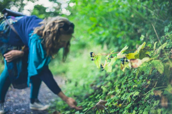 Una Joven Colecciona Bayas Bosque — Foto de Stock