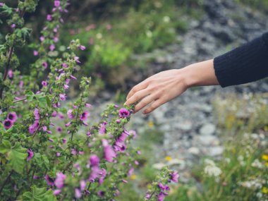 Genç bir kadın el yazında bir çayırda çiçek dokunuyor