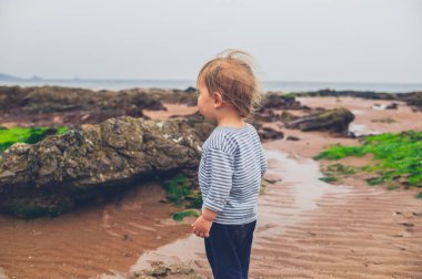 Bulutlu bir günde küçük bir yürümeye başlayan çocuk sahilde yürüyor