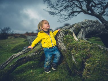 Küçük bir bebek üzerinde moor ağaca tırmanıyor