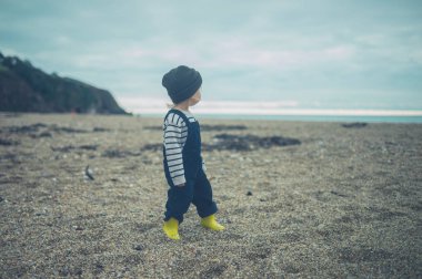 Küçük bir bebek sahilde sonbaharda duruyor