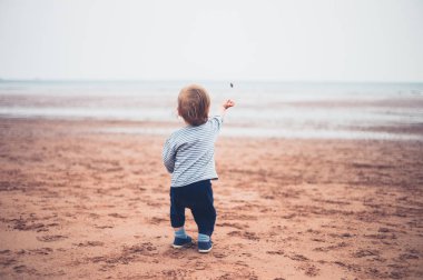 Bir yürümeye başlayan çocuk sahilde taş atıyor