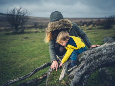 Bir anne ve onu yürümeye başlayan çocuk düşmüş bir ağaç arıyoruz