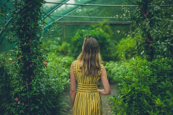 Eine Junge Frau Erkundet Einen Wintergarten — Stockfoto