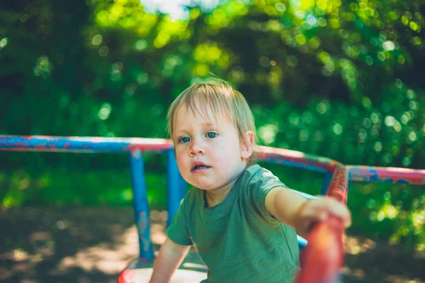 Een Schattige Kleine Jongen Zit Een Merry Het Park — Stockfoto