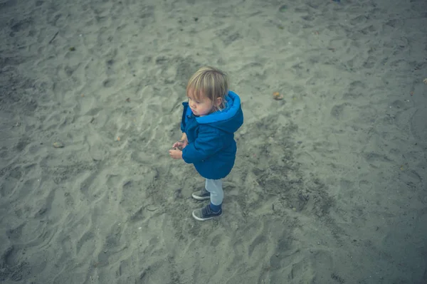Little Toddler Dressed Warm Day Beach Autumn — Stock Photo, Image