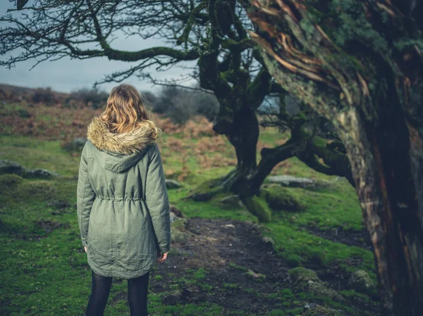 一个年轻的女人站在荒原上的一棵树旁 — 图库照片
