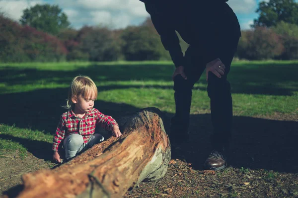 一个幼儿和他的祖父正在森林里检查一根木头 — 图库照片