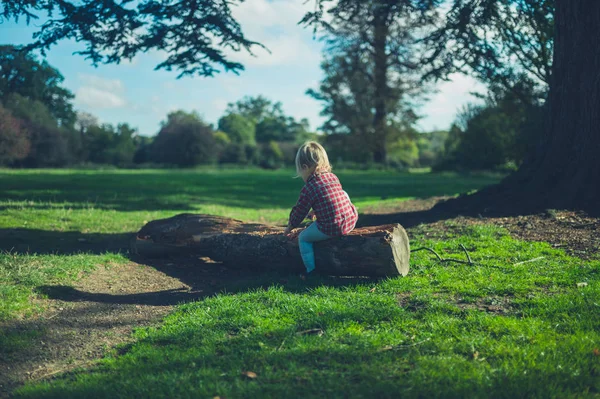 Een Kleine Peuter Zit Een Logboek Het Bos — Stockfoto