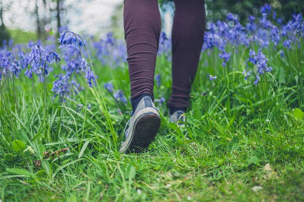 ブルーベルの草原を歩く若い女性の Feeat — ストック写真