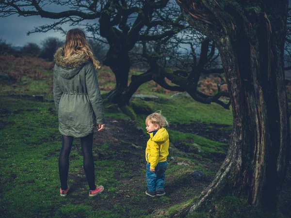 Una Madre Joven Hijo Pequeño Están Pie Bajo Árbol Páramo — Foto de Stock