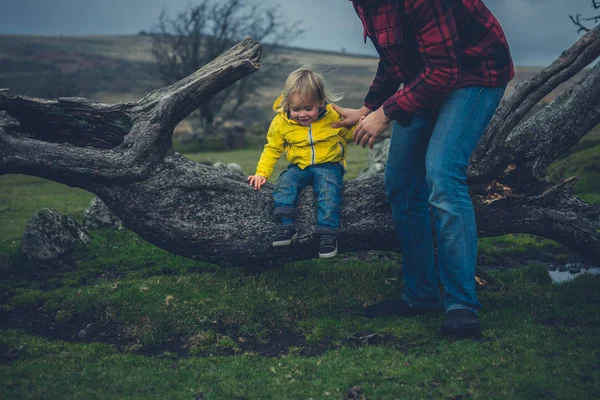 Een Vader Een Peuter Zitten Een Omgevallen Boom Hei Herfst — Stockfoto