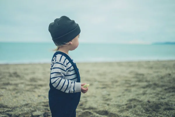Ένα Μικρό Παιδί Στέκεται Στην Παραλία Φθινόπωρο — Φωτογραφία Αρχείου