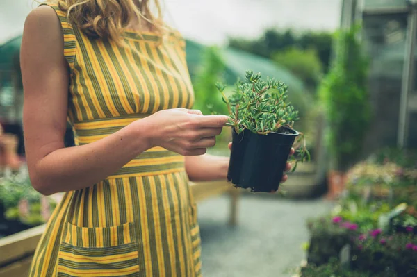 Una Mujer Examina Una Planta Centro Jardinería — Foto de Stock