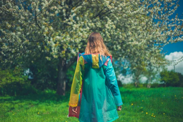 Bakifrån Ung Kvinna Som Bär Regnrock Står Ett Träd Äng — Stockfoto