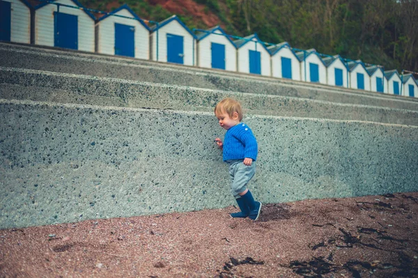 Een Schattige Kleine Peuter Jongen Het Strand Een Koude Dag — Stockfoto
