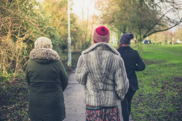 An older woman with two young women is walking in the park in winter