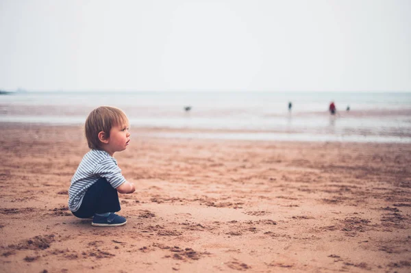 Милий Маленький Хлопчик Сидить Пляжі Похмурий День — стокове фото