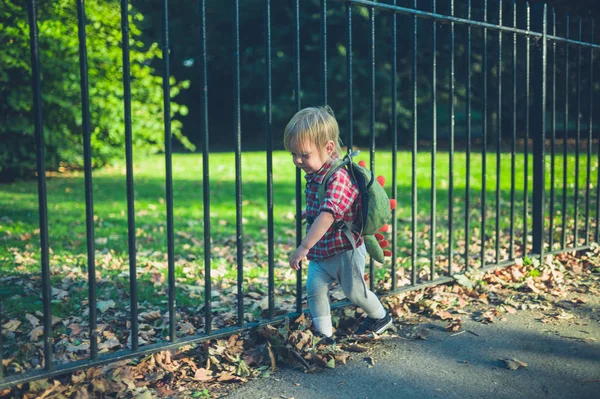 Niño Pequeño Está Caminando Parque Día Otoño —  Fotos de Stock
