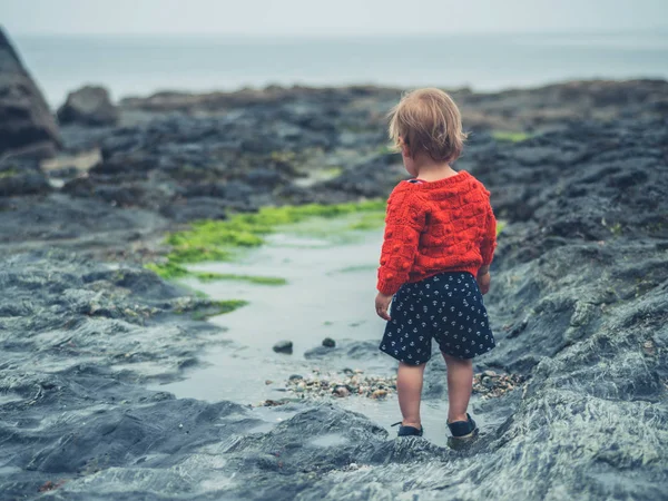 Ένα Μικρό Αγόρι Toddler Διερευνά Μια Πισίνα Βράχο Δίπλα Στη — Φωτογραφία Αρχείου