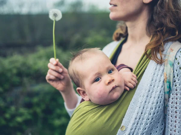 Young Mother Baby Sling Blowing Seeds Dandelion — Stock Photo, Image