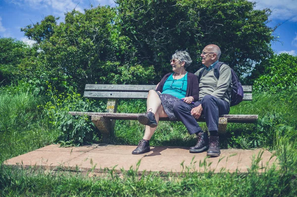 Casal Idosos Está Relaxando Banco Natureza Dia Verão — Fotografia de Stock