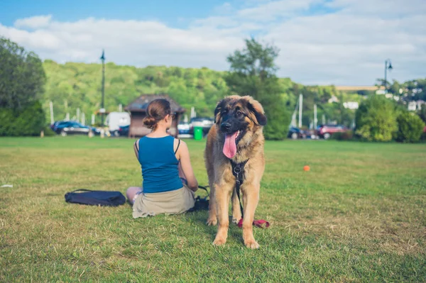 Genç Bir Kadın Büyük Leonberger Köpek Ile Parkta Dinleniyor — Stok fotoğraf