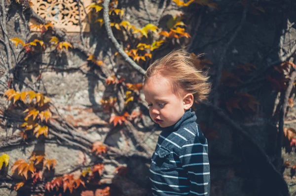 Little Toddler Boy Smart Dress Getting His Hair Blown Wind — Stock Photo, Image