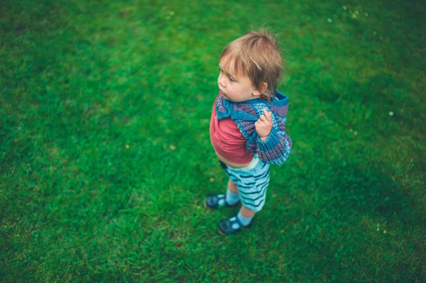 Mały Chłopiec Malucha Zielony Trawnik Ciągnie Się Jego Jumper — Zdjęcie stockowe