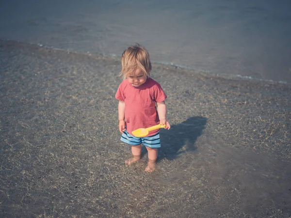 Uma Criancinha Gira Está Brincando Praia — Fotografia de Stock