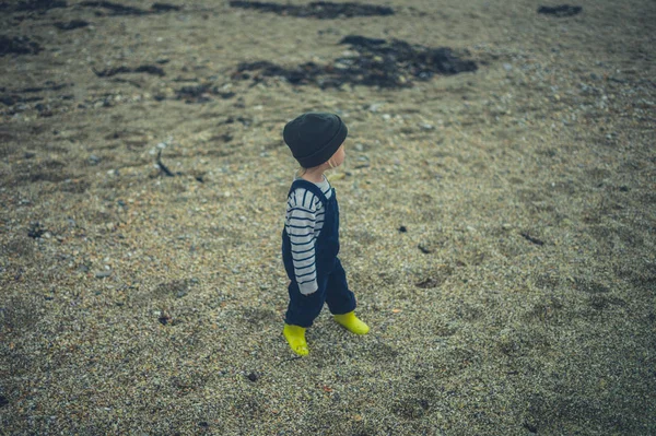 Liten Toddler Står Stranden Höst — Stockfoto