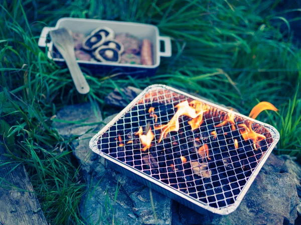 Een Dienblad Van Vlees Een Dispoable Barbecue Een Tuin — Stockfoto