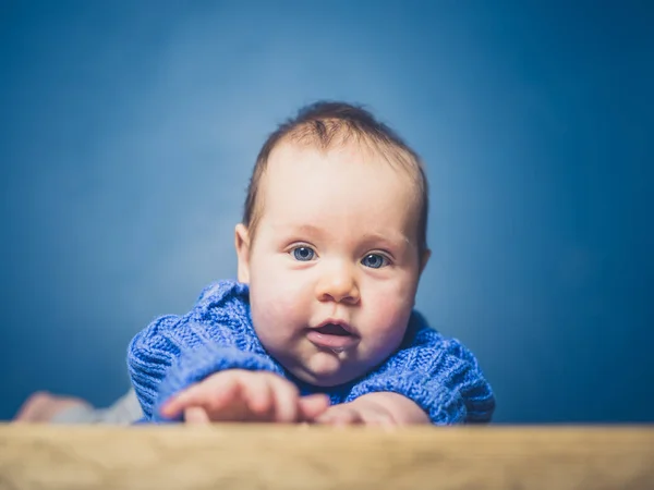 Ένα Χαρούμενος Λίγο Μωρό Είναι Εξερευνήσετε Και Μαθαίνουν Ανιχνεύσουμε — Φωτογραφία Αρχείου