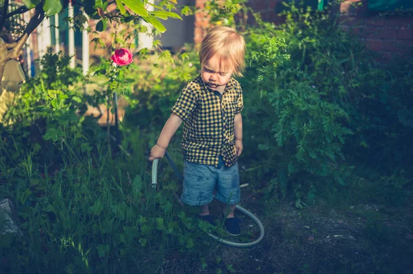 Cute Little Toddler Boy Watering Garden Sunset Hose — Stock Photo, Image
