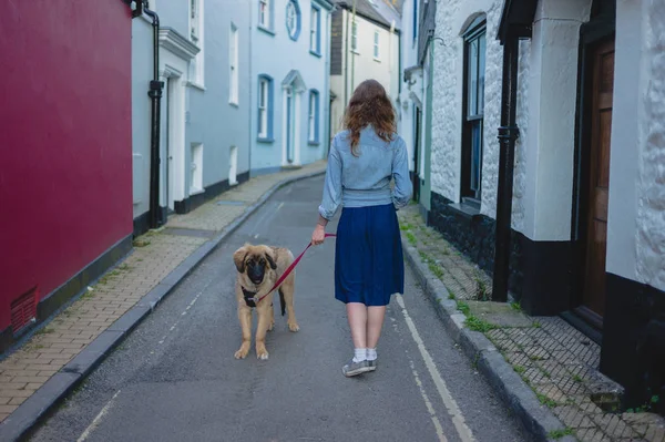 Young Woman Walking Her Leonberger Puppy Small Town — Stock Photo, Image