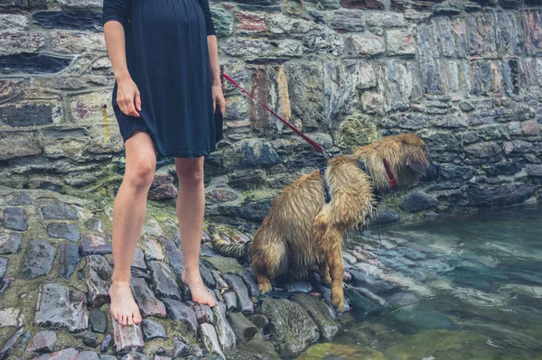 Young Woman Standing Barefoot Her Big Leonberger Puuppy Slipway River — Stock Photo, Image