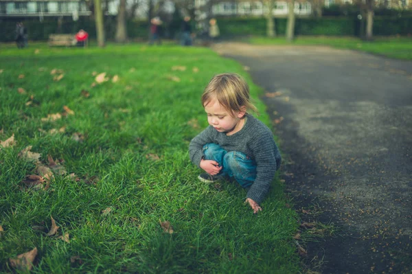 Een Kleine Peuter Genieten Van Wezen Het Gras Een Park — Stockfoto