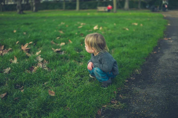 Маленькому Малышу Нравится Траве Парке — стоковое фото