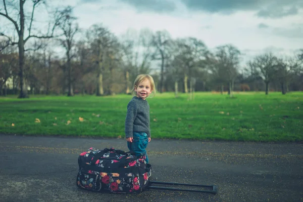 Niño Pequeño Está Pie Parque Con Una Maleta —  Fotos de Stock