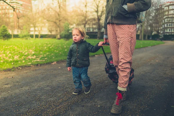 Una Madre Joven Hijo Pequeño Están Caminando Parque Con Una — Foto de Stock