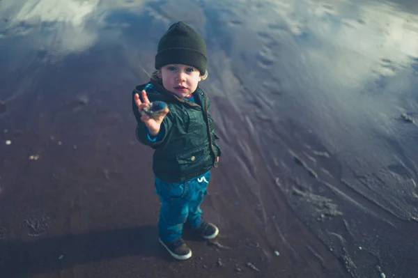 一个幼儿正在展示他冬天在海滩上发现的一颗贝壳 — 图库照片