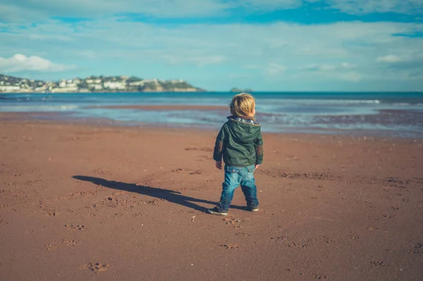 Маленький Малюк Стоїть Пляжі Взимку — стокове фото