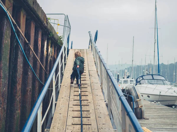 Een Kleine Peuter Loopt Rond Een Jachthaven Een Touw Trekken — Stockfoto