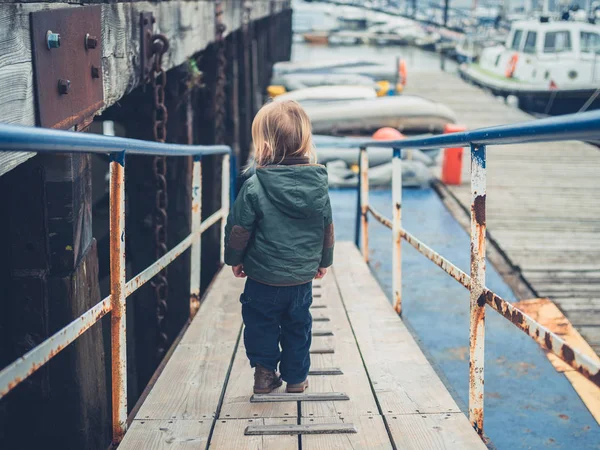 Küçük Bir Yürümeye Başlayan Bir Marinada Etrafında Yürüyor — Stok fotoğraf
