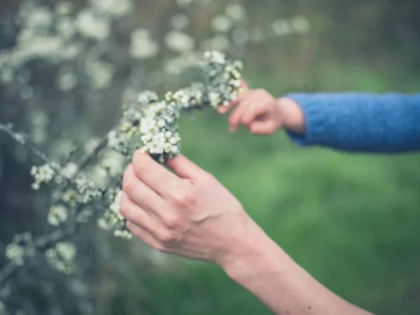 花で木の枝に触れる女性と子供の手 — ストック写真