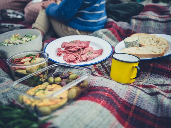 敷物の上に座っている小さな幼児とピクニック食品 — ストック写真