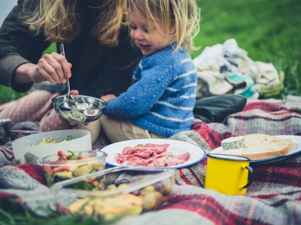 cropped shot of mother and toddler child sitting on picnic rug